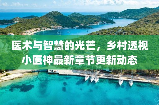 医术与智慧的光芒，乡村透视小医神最新章节更新动态