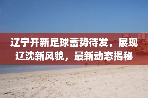 辽宁开新足球蓄势待发，展现辽沈新风貌，最新动态揭秘