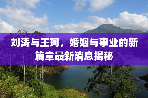 刘涛与王珂，婚姻与事业的新篇章最新消息揭秘
