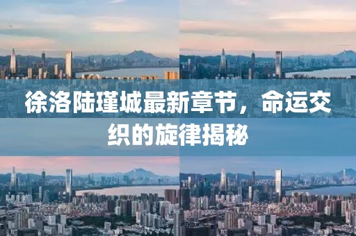 徐洛陆瑾城最新章节，命运交织的旋律揭秘