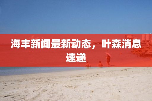 海丰新闻最新动态，叶森消息速递