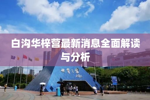 白沟华梓营最新消息全面解读与分析