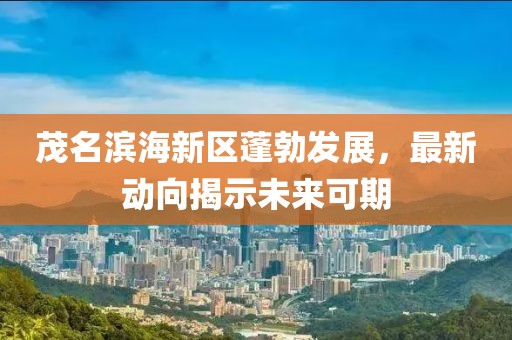 茂名滨海新区蓬勃发展，最新动向揭示未来可期