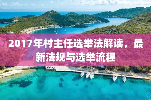 2017年村主任选举法解读，最新法规与选举流程