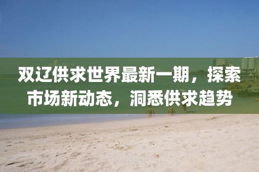 双辽供求世界最新一期，探索市场新动态，洞悉供求趋势