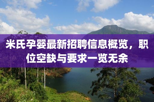 米氏孕婴最新招聘信息概览，职位空缺与要求一览无余