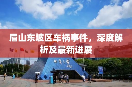眉山东坡区车祸事件，深度解析及最新进展