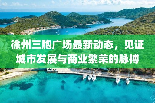 徐州三胞广场最新动态，见证城市发展与商业繁荣的脉搏