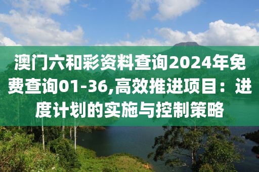 澳门六和彩资料查询2024年免费查询01-36,高效推进项目：进度计划的实施与控制策略