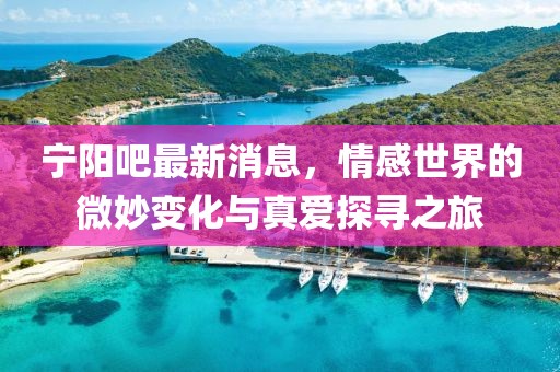 宁阳吧最新消息，情感世界的微妙变化与真爱探寻之旅