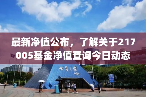 最新净值公布，了解关于217005基金净值查询今日动态