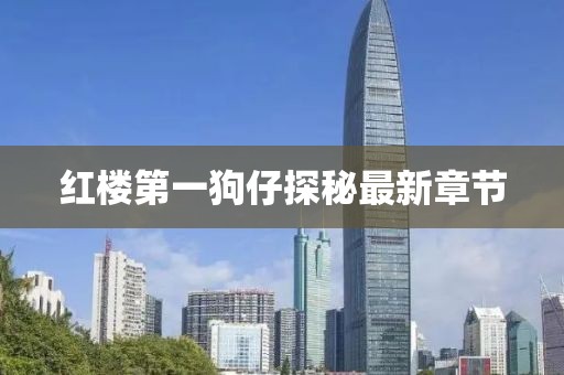 红楼第一狗仔探秘最新章节