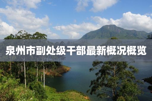 泉州市副处级干部最新概况概览
