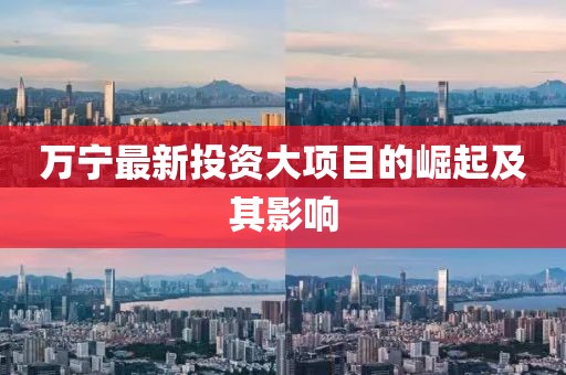 万宁最新投资大项目的崛起及其影响