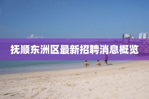 抚顺东洲区最新招聘消息概览