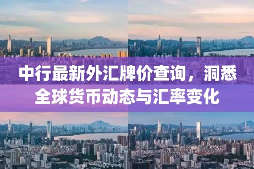 中行最新外汇牌价查询，洞悉全球货币动态与汇率变化