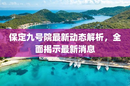 保定九号院最新动态解析，全面揭示最新消息