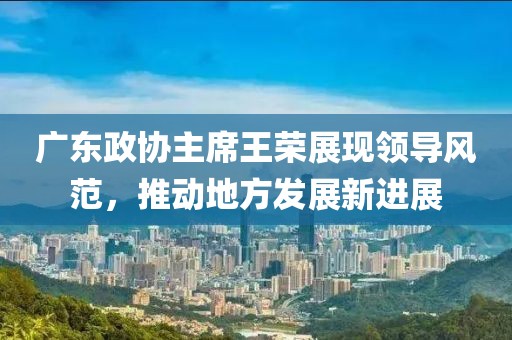 广东政协主席王荣展现领导风范，推动地方发展新进展
