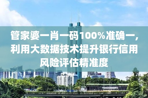 管家婆一肖一码100%准确一,利用大数据技术提升银行信用风险评估精准度