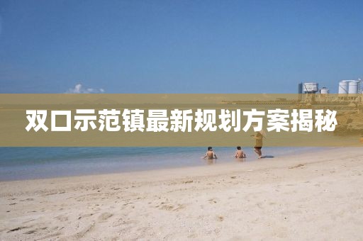 双口示范镇最新规划方案揭秘