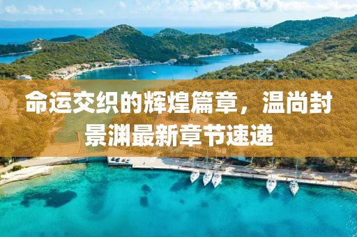 命运交织的辉煌篇章，温尚封景渊最新章节速递