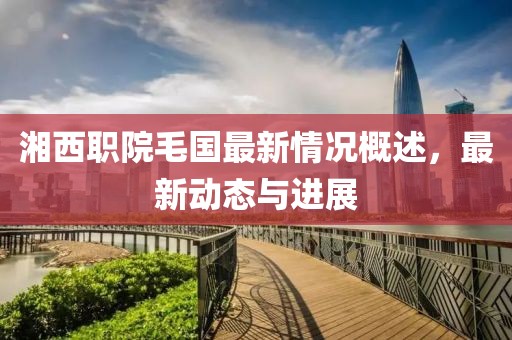 湘西职院毛国最新情况概述，最新动态与进展