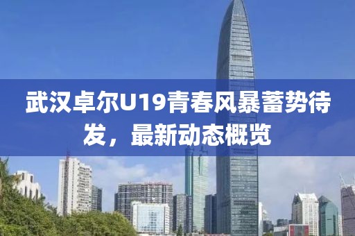 武汉卓尔U19青春风暴蓄势待发，最新动态概览