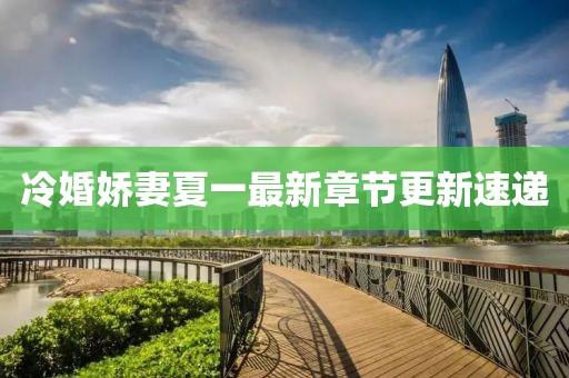 冷婚娇妻夏一最新章节更新速递