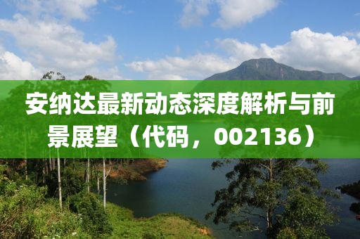 安纳达最新动态深度解析与前景展望（代码，002136）