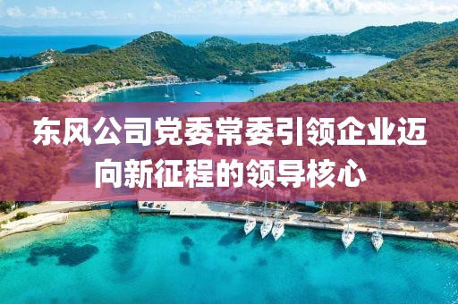 东风公司党委常委引领企业迈向新征程的领导核心
