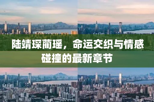 陆靖琛蔺瑶，命运交织与情感碰撞的最新章节