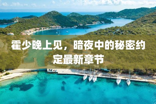 霍少晚上见，暗夜中的秘密约定最新章节