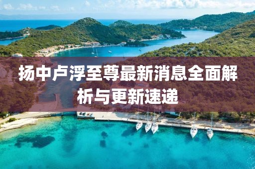 扬中卢浮至尊最新消息全面解析与更新速递