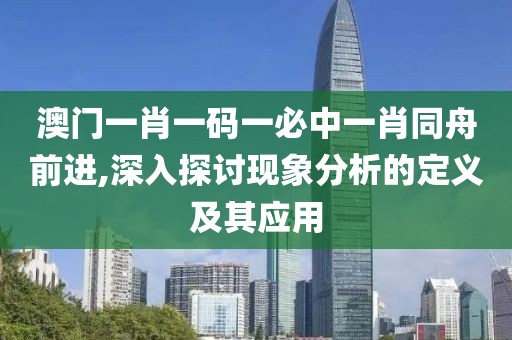 澳门一肖一码一必中一肖同舟前进,深入探讨现象分析的定义及其应用