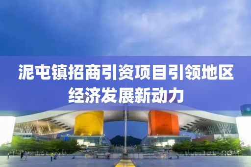 泥屯镇招商引资项目引领地区经济发展新动力