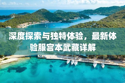 深度探索与独特体验，最新体验服宫本武藏详解