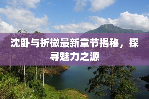 沈卧与折微最新章节揭秘，探寻魅力之源