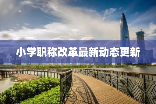 小学职称改革最新动态更新
