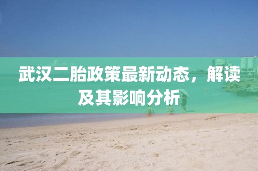 武汉二胎政策最新动态，解读及其影响分析