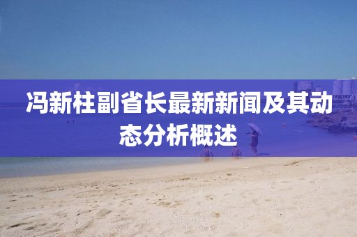 冯新柱副省长最新新闻及其动态分析概述