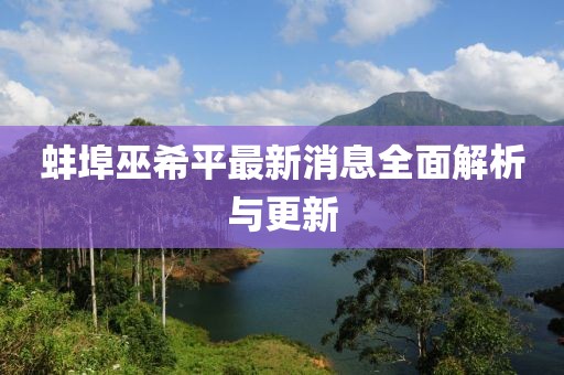 蚌埠巫希平最新消息全面解析与更新