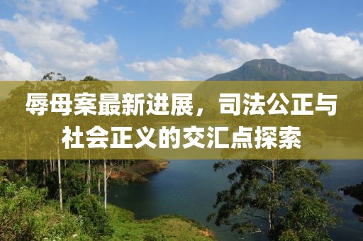 辱母案最新进展，司法公正与社会正义的交汇点探索