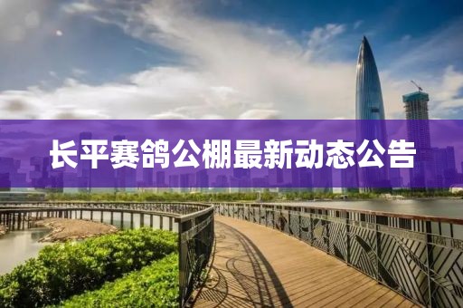 长平赛鸽公棚最新动态公告