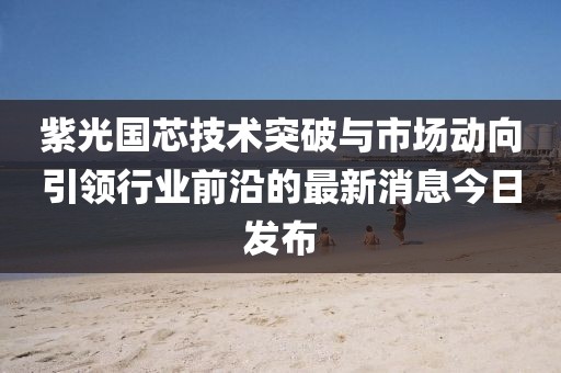 紫光国芯技术突破与市场动向引领行业前沿的最新消息今日发布