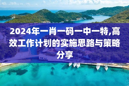 2024年一肖一码一中一特,高效工作计划的实施思路与策略分享