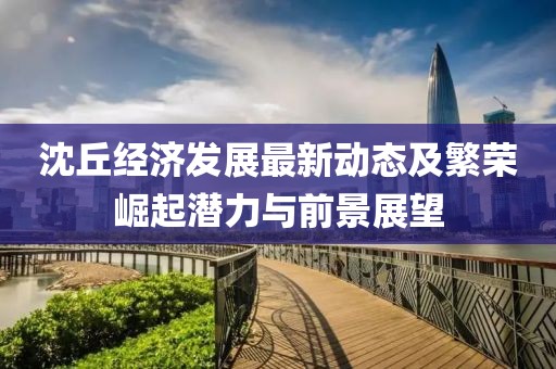 沈丘经济发展最新动态及繁荣崛起潜力与前景展望
