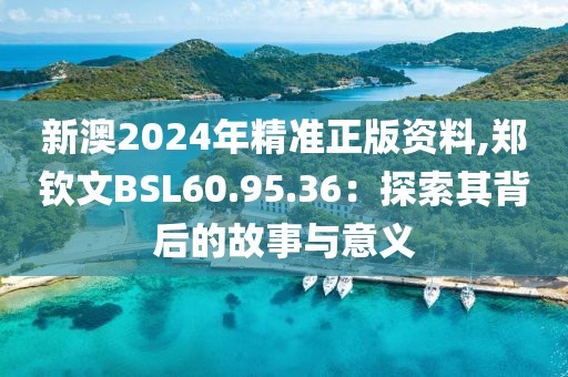 新澳2024年精准正版资料,郑钦文BSL60.95.36：探索其背后的故事与意义