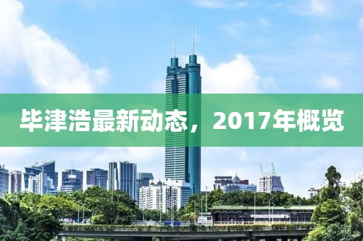 毕津浩最新动态，2017年概览
