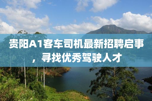 贵阳A1客车司机最新招聘启事，寻找优秀驾驶人才