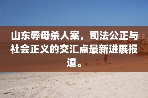 山东辱母杀人案，司法公正与社会正义的交汇点最新进展报道。